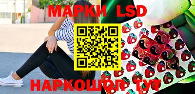 спиды Сланцы