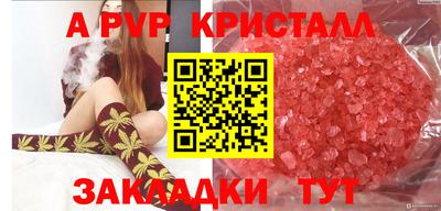 спиды Сланцы