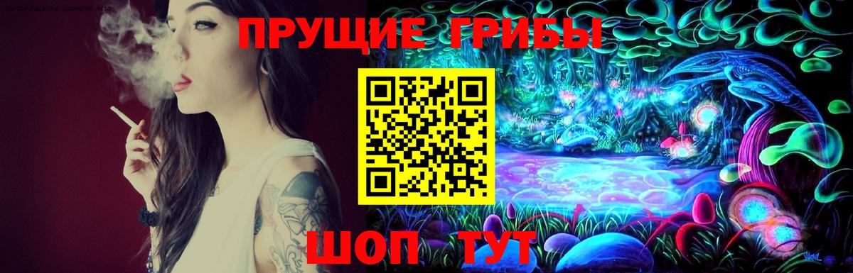 Галлюциногенные грибы Psilocybe  купить закладку  Подольск  Галлюциногенные грибы GOLDEN TEACHER  Вход с VPN 