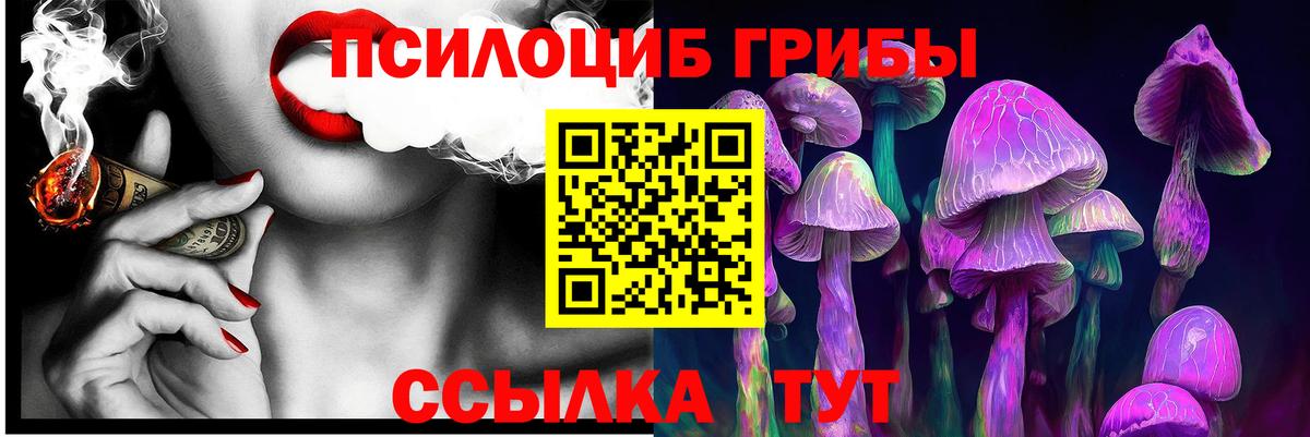 Галлюциногенные грибы мухоморы Подольск